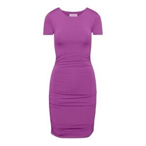 Aritzia Babaton Ruched Mini Dress